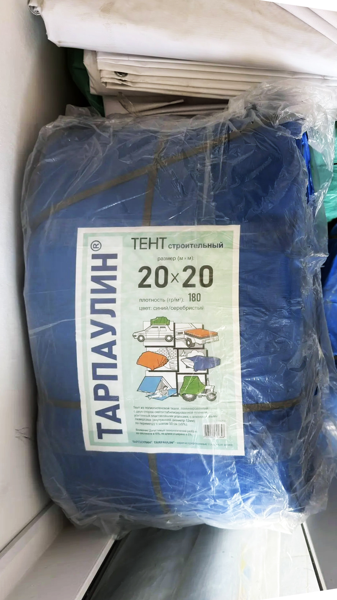 Портрет человека