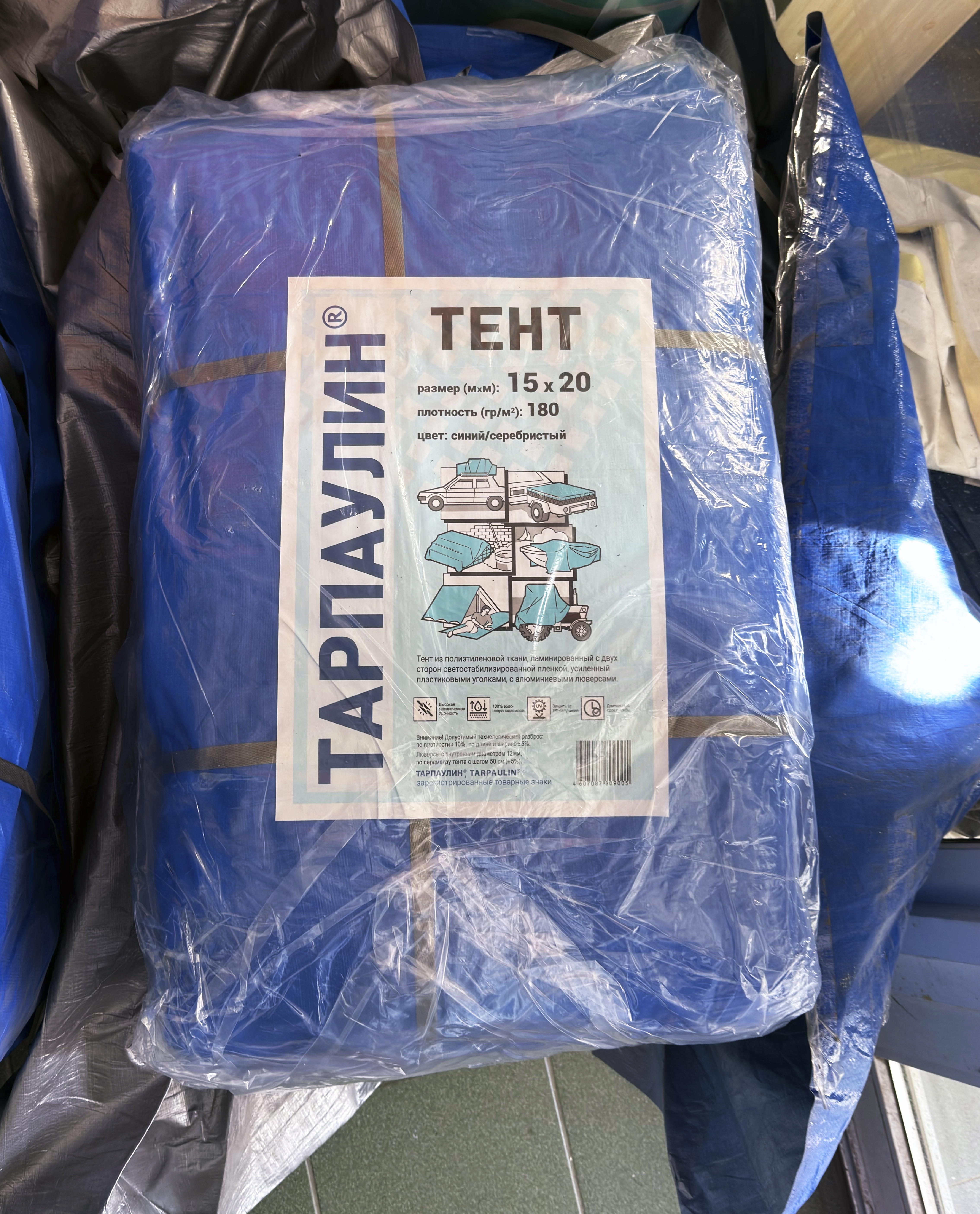 Портрет человека