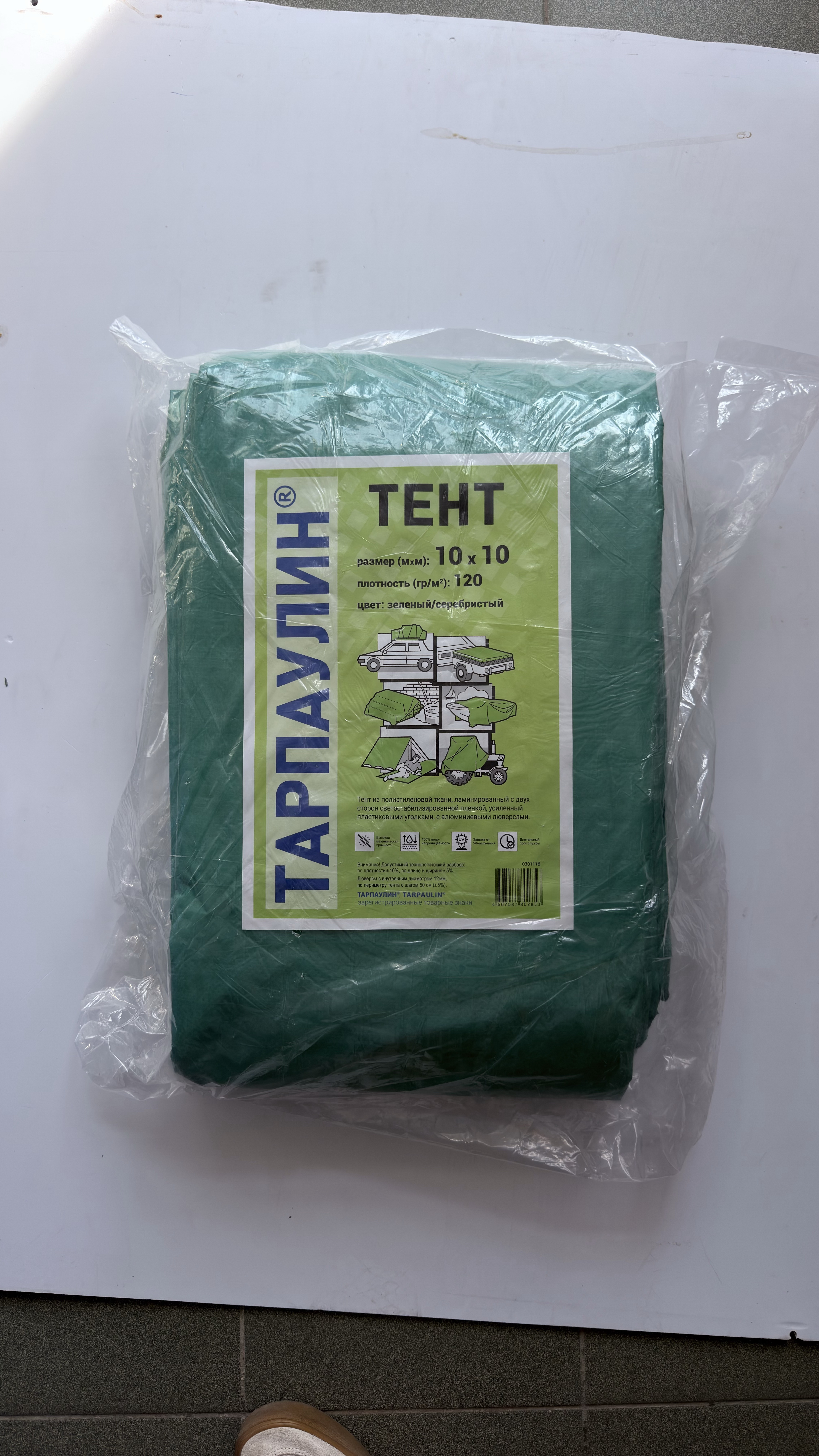 Портрет человека